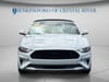 14 thumbnail image of  2021 Ford Mustang EcoBoost Premium