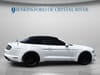 3 thumbnail image of  2021 Ford Mustang EcoBoost Premium
