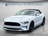 13 thumbnail image of  2021 Ford Mustang EcoBoost Premium