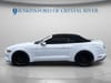 10 thumbnail image of  2021 Ford Mustang EcoBoost Premium