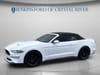 11 thumbnail image of  2021 Ford Mustang EcoBoost Premium