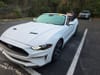 3 thumbnail image of  2021 Ford Mustang EcoBoost