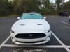 2 thumbnail image of  2021 Ford Mustang EcoBoost