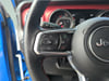 39 thumbnail image of  2021 Jeep Wrangler Rubicon
