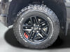 50 thumbnail image of  2022 Chevrolet Silverado 1500 LTD LT Trail Boss