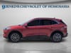 9 thumbnail image of  2022 Ford Escape Plug-In Hybrid Titanium