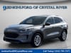 1 thumbnail image of  2022 Ford Escape SE