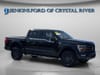 7 thumbnail image of  2022 Ford F-150 Tremor