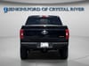 13 thumbnail image of  2022 Ford F-150 Tremor