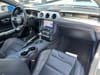 16 thumbnail image of  2022 Ford Mustang GT Premium