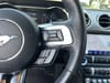 26 thumbnail image of  2022 Ford Mustang GT Premium