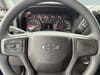 30 thumbnail image of  2023 Chevrolet Silverado 1500 Custom Trail Boss