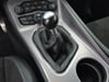 30 thumbnail image of  2023 Dodge Challenger R/T
