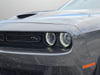 13 thumbnail image of  2023 Dodge Challenger R/T