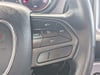 29 thumbnail image of  2023 Dodge Challenger SXT