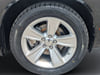 15 thumbnail image of  2023 Dodge Challenger SXT