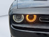 12 thumbnail image of  2023 Dodge Challenger SXT