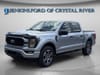 6 thumbnail image of  2023 Ford F-150 XL