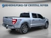 11 thumbnail image of  2023 Ford F-150 XL