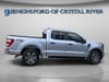 10 thumbnail image of  2023 Ford F-150 XL