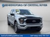 1 thumbnail image of  2023 Ford F-150 XL