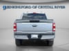 14 thumbnail image of  2023 Ford F-150 XL