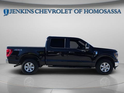 1 image of 2023 Ford F-150 XLT