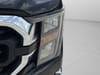 43 thumbnail image of  2023 Ford F-150 XLT