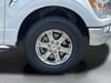 24 thumbnail image of  2023 Ford F-150 XLT