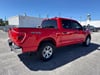 3 thumbnail image of  2023 Ford F-150 XLT