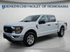 10 thumbnail image of  2023 Ford F-150 XLT