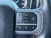 41 thumbnail image of  2023 Ford F-150 XLT