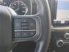 20 thumbnail image of  2023 Ford F-150 XLT