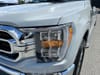 33 thumbnail image of  2023 Ford F-150 XLT