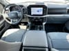 12 thumbnail image of  2023 Ford F-150 XLT