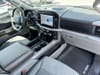 11 thumbnail image of  2023 Ford F-150 XLT