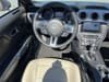 17 thumbnail image of  2023 Ford Mustang EcoBoost Premium