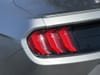 14 thumbnail image of  2023 Ford Mustang EcoBoost Premium