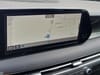 36 thumbnail image of  2023 Hyundai Palisade Calligraphy