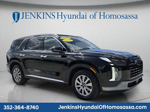 1 image of 2023 Hyundai Palisade SEL