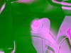 19 thumbnail image of  2023 Hyundai Santa Fe Calligraphy