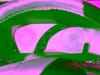 13 thumbnail image of  2023 Hyundai Santa Fe Calligraphy