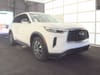 1 thumbnail image of  2023 INFINITI QX60 PURE