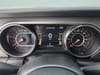33 thumbnail image of  2023 Jeep Gladiator Overland