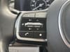 35 thumbnail image of  2023 Kia Carnival SX Prestige