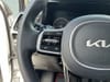 33 thumbnail image of  2023 Kia Sorento EX
