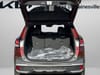 32 thumbnail image of  2023 Kia Sportage X-Line