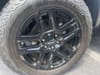 5 thumbnail image of  2024 Chevrolet Colorado Trail Boss