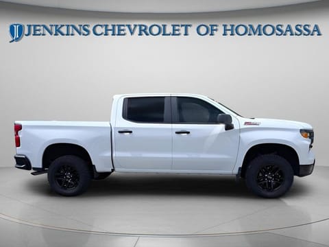 1 image of 2024 Chevrolet Silverado 1500 Custom Trail Boss