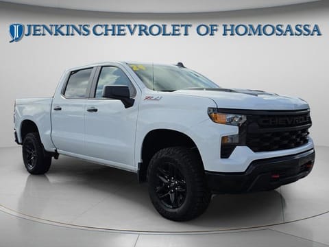 1 image of 2024 Chevrolet Silverado 1500 Custom Trail Boss